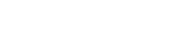 Sage AI Performance